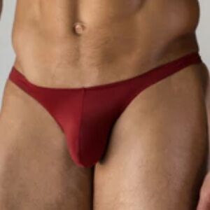 NWT Todd Sanfield Carnal Red Defiant Micro Thong - Burgundy / Maroon